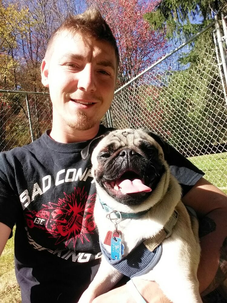 LBD BOARDING KENNELS Updated September 2024 41 Photos 985 New York Ave, Hallstead