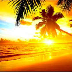 Sunshine Cleaning Service of Ocala
