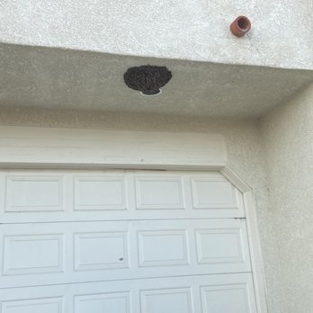 Mr. Beez Termite & Pest Control - Pest Control Near Me - Palm Desert, California
