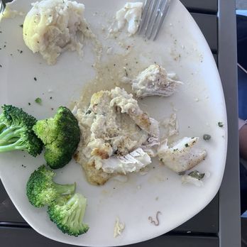 Bonefish Grill - Worm - Seafood Near Me - Sarasota, Florida