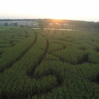 Lane Packing - Just look at it.. - Farmers Market Near Me - Fort Valley, Georgia