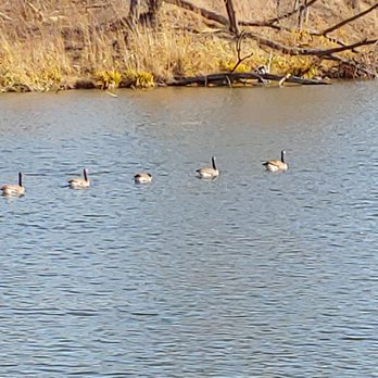 West Ridge Nature Park - Parks Near Me - Chicago, Illinois