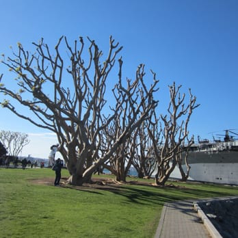 Embracing Peace - Landmarks & Historical Buildings Near Me - San Diego, California