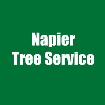 Napier Tree Service - Tree Services Near Me Napier Tree Service - Tree Services Near Me