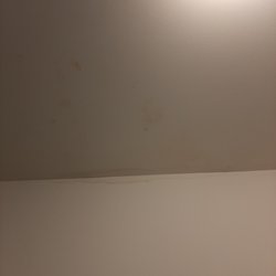 Washco Management - Mold