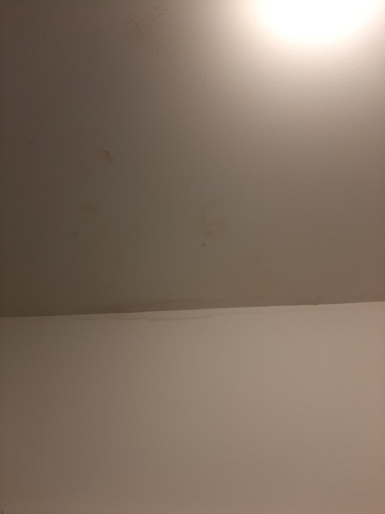 WASHCO MANAGEMENT Updated October 2024 1741 Dual Hwy, Hagerstown