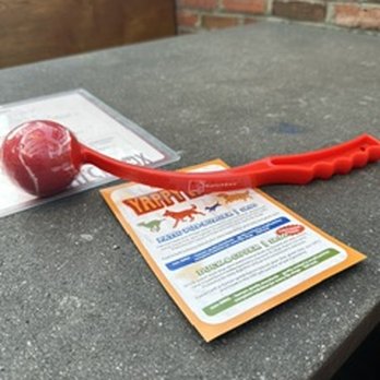 matchbox - Pizza Near Me - Rockville, Maryland matchbox - Pizza Near Me - Rockville, Maryland