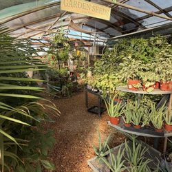 Jericho Nursery