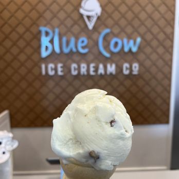 Blue Cow Ice Cream - Pecan ice cream - Ice Cream & Frozen Yogurt Near Me - Fredericksburg, Virginia Blue Cow Ice Cream - Pecan ice cream - Ice Cream & Frozen Yogurt Near Me - Fredericksburg, Virginia