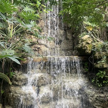 Krohn Conservatory - Botanical Gardens Near Me - Cincinnati, Ohio Krohn Conservatory - Botanical Gardens Near Me - Cincinnati, Ohio