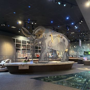 Western Science Center - Open, airy space is well laid out - Museums Near Me - Hemet, California Western Science Center - Open, airy space is well laid out - Museums Near Me - Hemet, California