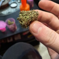 Higher Garden - Uncured Mushy Mr. Nice Guy