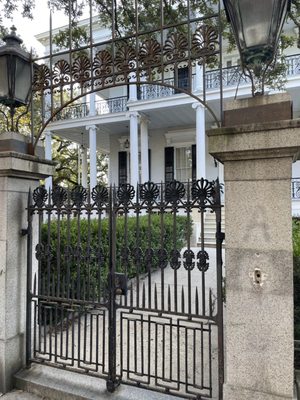 Nola Tour Guy by null