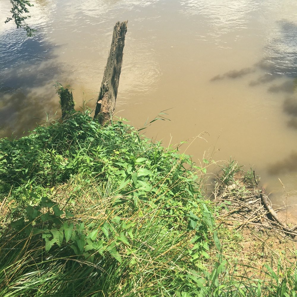 Wilson's Riverfront RV Park - About a 5 to six ft steep drop from edge, not accessible... - RV Dealers Near Me - Asheville, North Carolina Wilson's Riverfront RV Park - About a 5 to six ft steep drop from edge, not accessible... - RV Dealers Near Me - Asheville, North Carolina