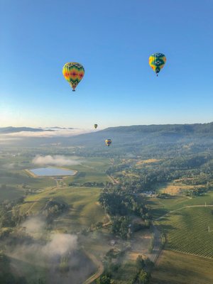Napa Valley Aloft Hot Air Balloon Rides by null
