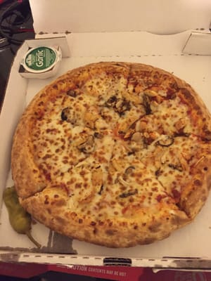 Papa Johns Pizza by null