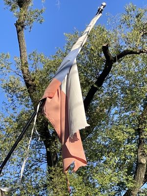 Bohemian Hall & Beer Garden by null