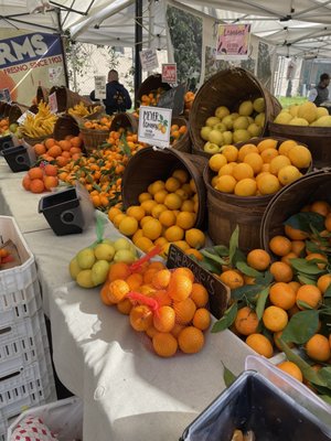 Brentwood Farmers Market by null