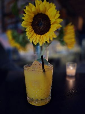 The Semi-Tropic by null The Semi-Tropic by null