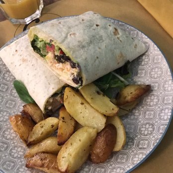 Crazy Cat Café - Cafes Near Me - Milan, Michigan