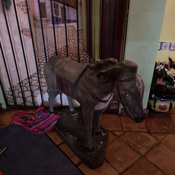 Senor Donkey - a horse standing in front of a gate - Mexican Near Me - South Padre Island, Texas