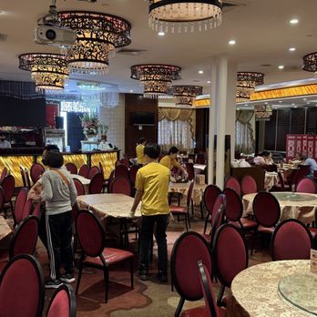 Jade Dynasty Seafood Restaurant - Dim Sum Near Me - Honolulu, Hawaii Jade Dynasty Seafood Restaurant - Dim Sum Near Me - Honolulu, Hawaii