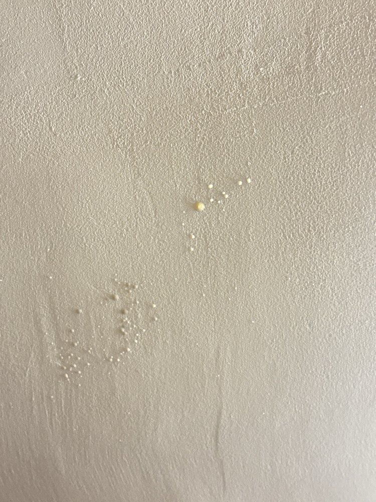 Slide of Red Truck Roofing