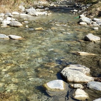 Camp Williams Resort - River (from site #18) - Campgrounds Near Me - Azusa, California