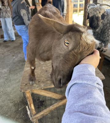 Moonwater Farm by null