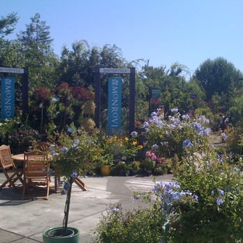 SummerWinds Nursery - Campbell - A little like visiting an arboretum - Nurseries & Gardening Near Me - Campbell, California SummerWinds Nursery - Campbell - A little like visiting an arboretum - Nurseries & Gardening Near Me - Campbell, California