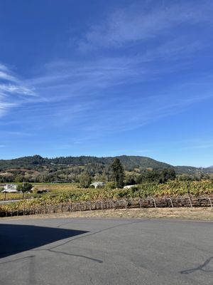 Papapietro Perry Winery by null