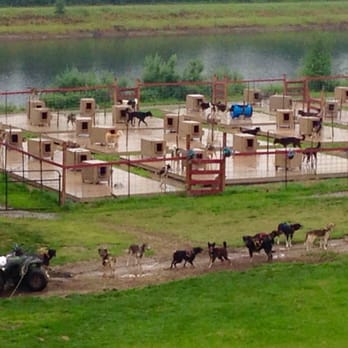 Riverboat Discovery - Susan Butcher's home...monumental place if you follow the Iditarod Race. - Boat Tours Near Me - Fairbanks, Alaska Riverboat Discovery - Susan Butcher's home...monumental place if you follow the Iditarod Race. - Boat Tours Near Me - Fairbanks, Alaska