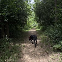 Natural trails