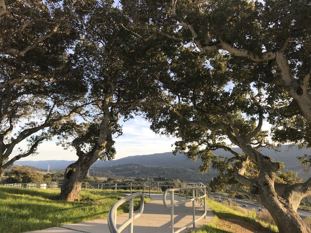 Ralph D.perguval Memorial Vista Point Logo