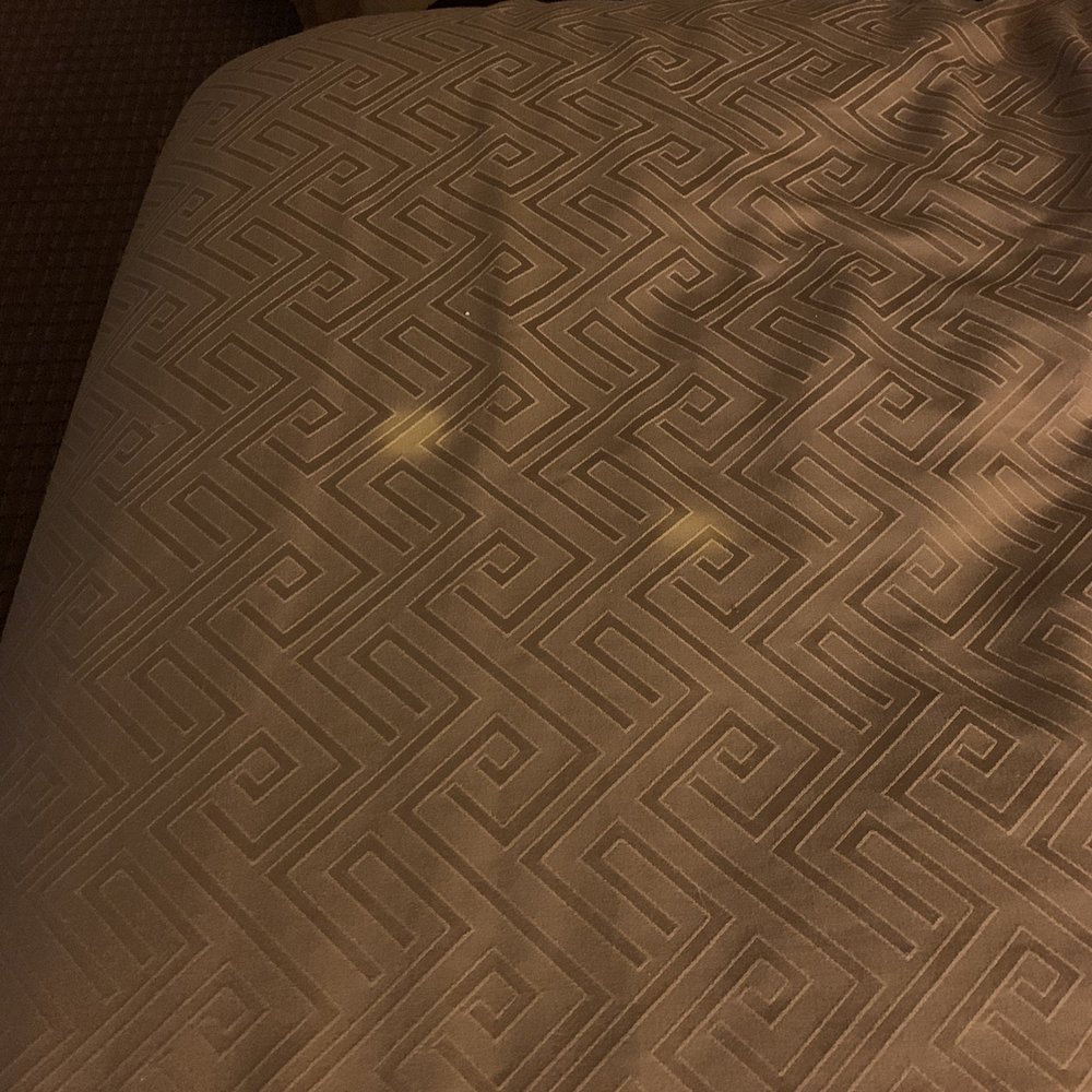 Econo Lodge - Hotels Near Me - Monticello, Florida