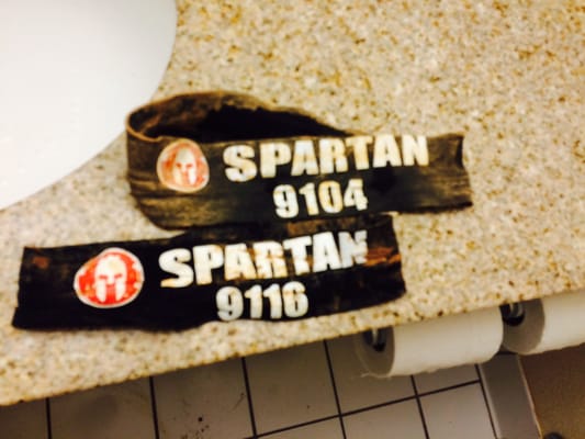 Georgia International Horse Park by null