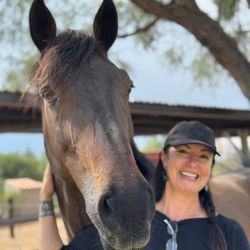 ER Equine Transport