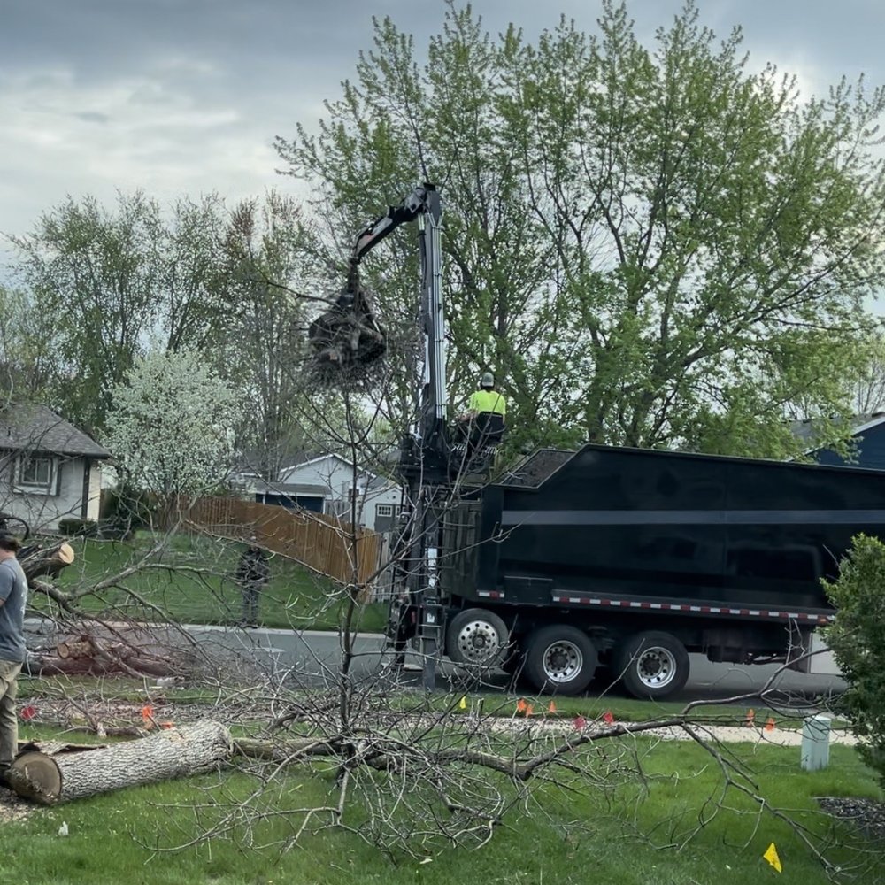 TOP 10 BEST Stump Removal in Inver Grove Heights, MN - October 2023 - Yelp