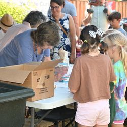 Vashon Heritage Museum - The Ice Cream Social to kick off strawberry festival