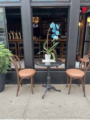 Grand Eleven by null