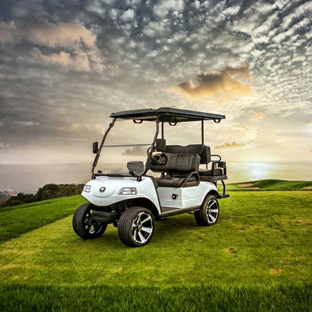 EWHEELZ 23 Photos 501 S 8th St, Fernandina Beach, Florida Golf Cart Dealers Phone Number