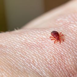 L&M Pest Control LLC