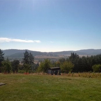 BlueBird Hill Cellars - Wineries Near Me - Monroe, Oregon
