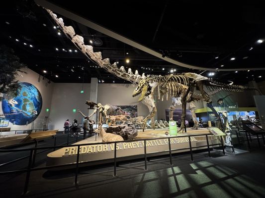 Perot Museum of Nature and Science by null