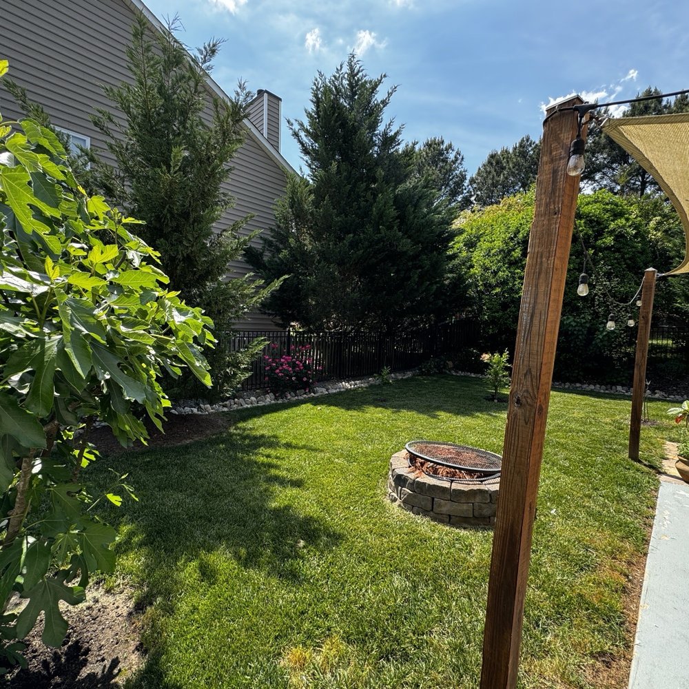 Queen Bee Mosquito Control - Pest Control Near Me - Matthews, North Carolina Queen Bee Mosquito Control - Pest Control Near Me - Matthews, North Carolina