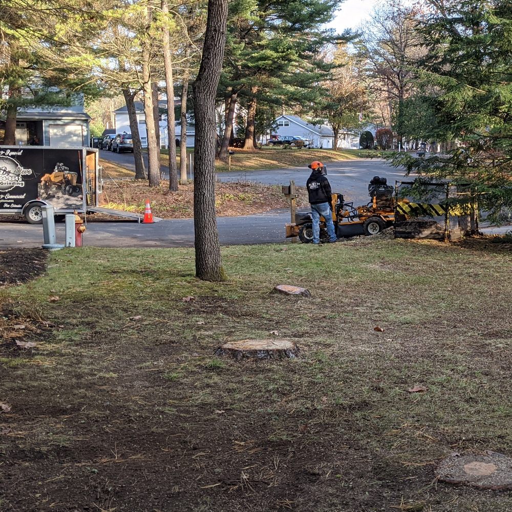 Stumps By Steve - At work with safety equipment on - Tree Services Near Me