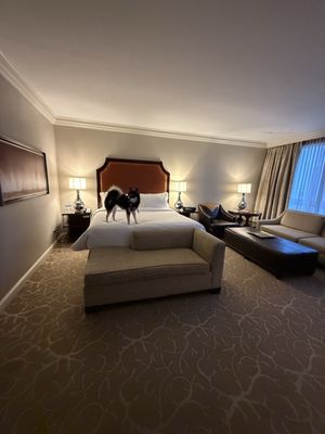 The St. Regis Houston by null