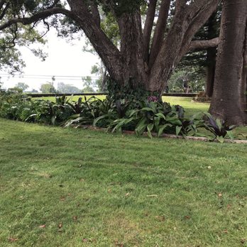 MauiWine - Wineries Near Me - Kula, Hawaii MauiWine - Wineries Near Me - Kula, Hawaii