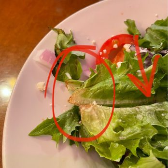 Guillermo's - Salad - Italian Near Me - San Antonio, Texas Guillermo's - Salad - Italian Near Me - San Antonio, Texas