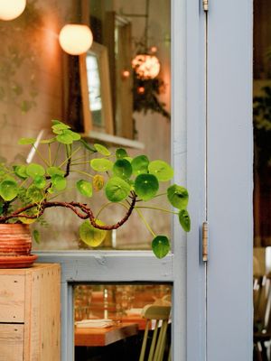Botanica Restaurant and Market by null